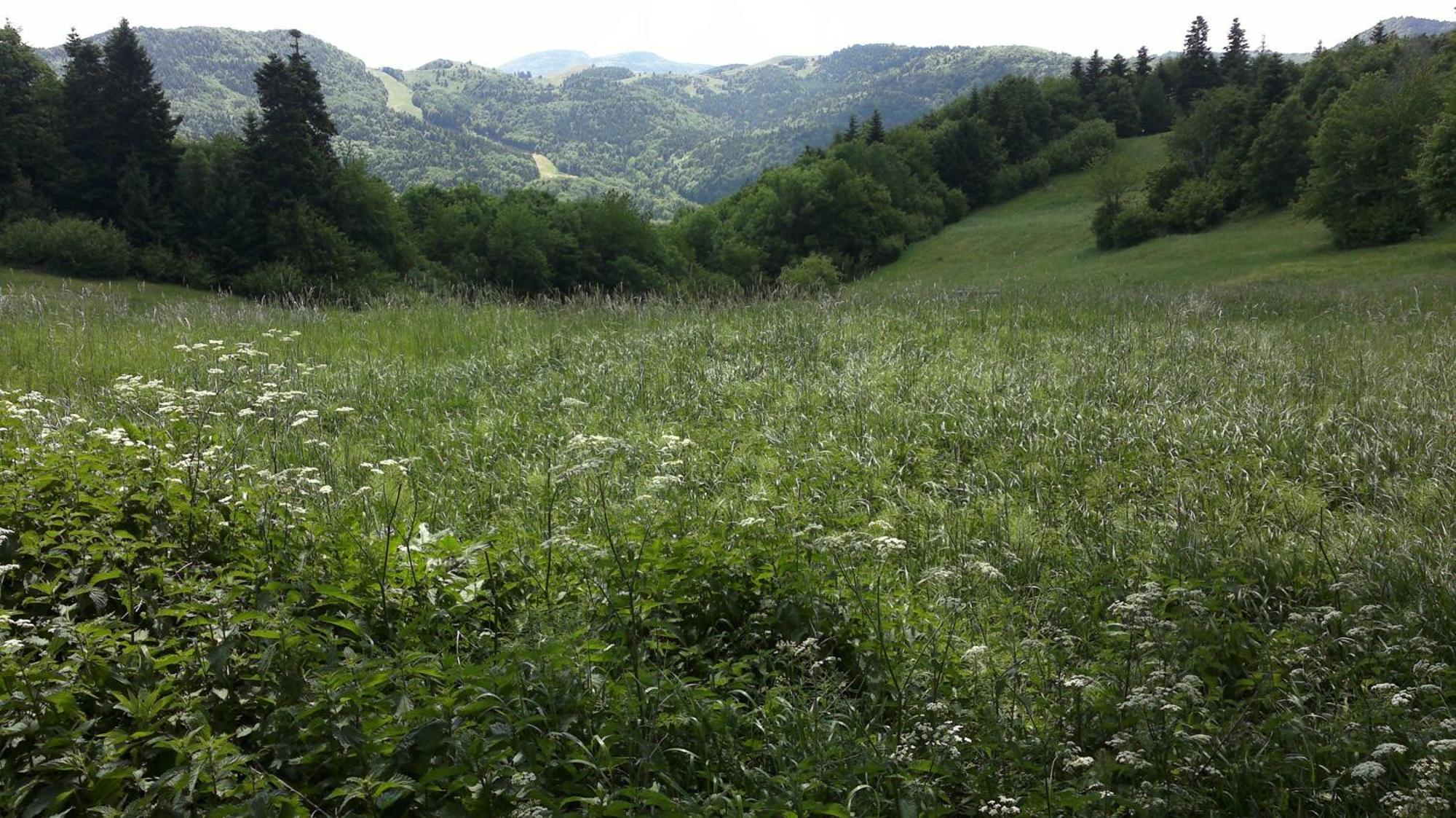 Apartmany Weissov Dom Banská Štiavnica Dış mekan fotoğraf